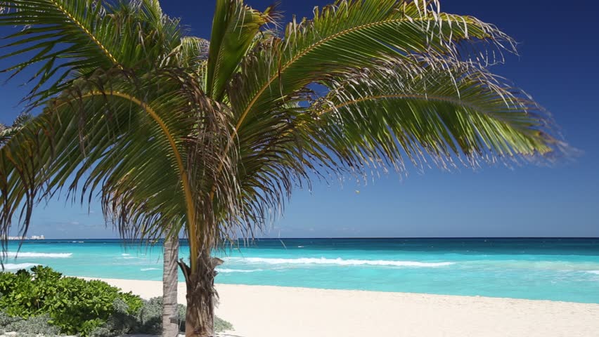 Two Perfect Palmtrees On A Lonely Beach With Calm Lagoon Stock Footage 