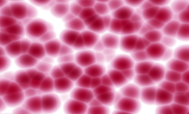 Header of adipose tissue