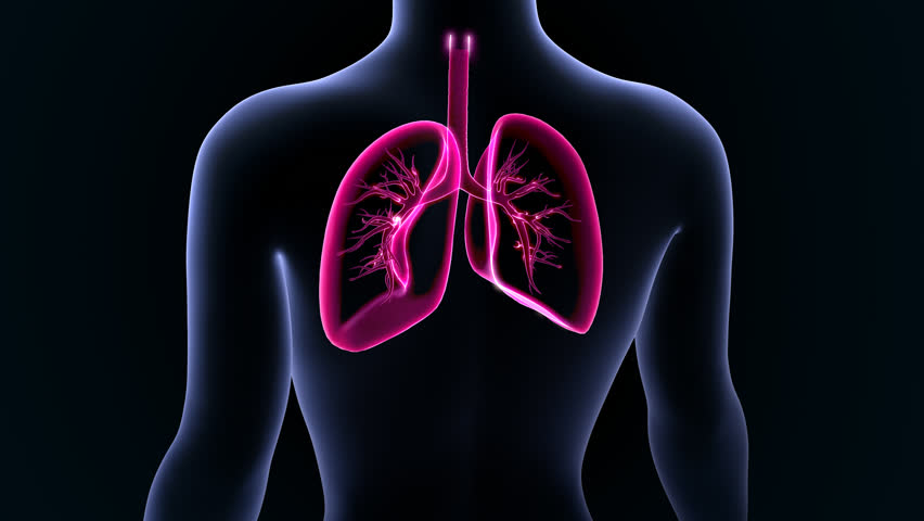 Pulmonary Embolism Stock Footage Video 2004086 - Shutterstock