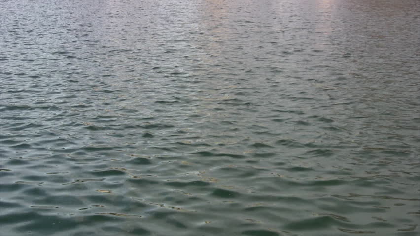 Calm Water Texture surface of river, calm water. view on a calm surface of green Calm Water Texture surface of river, calm water. view on a calm surface of green