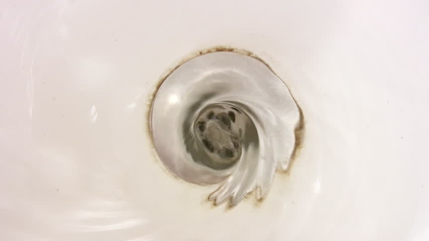Header of funnel