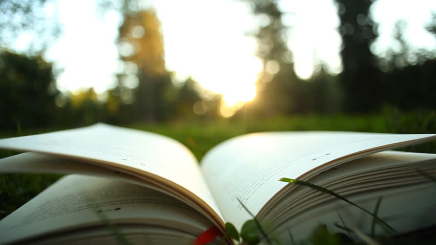 download how to survive your viva defending a thesis