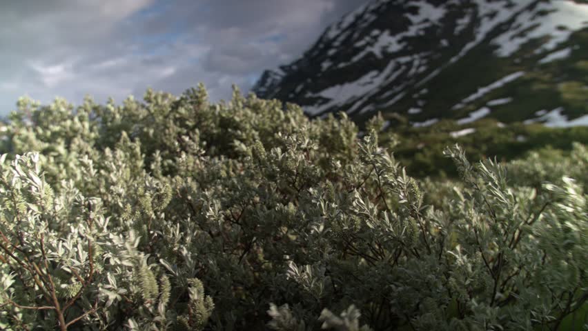 Header of 51