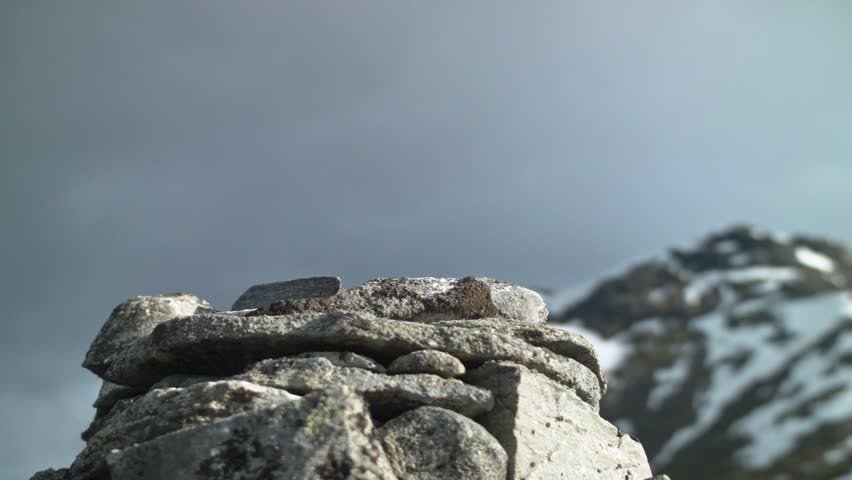 Header of 53