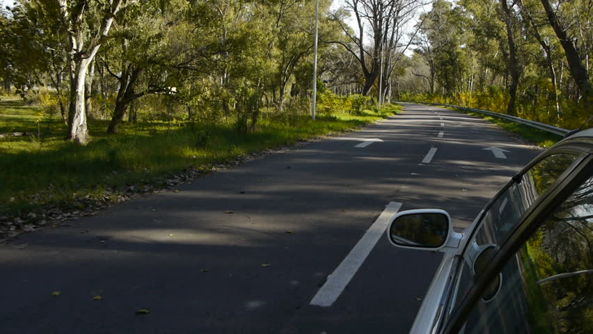 White Car Ride POV With Left Side Reference Country Road Trees On