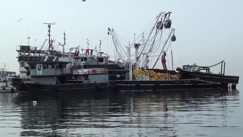 Gambling boat in metropolis illinois