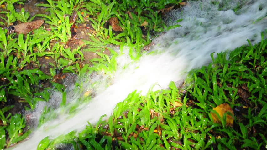 humor in green grass running water a children's book, and the novel green grass, running water (1993) prejudice, but they are also fallible in endearingly humorous ways. humor in green grass running water a children's book, and the novel green grass, running water (1993) prejudice, but they are also fallible in endearingly humorous ways.