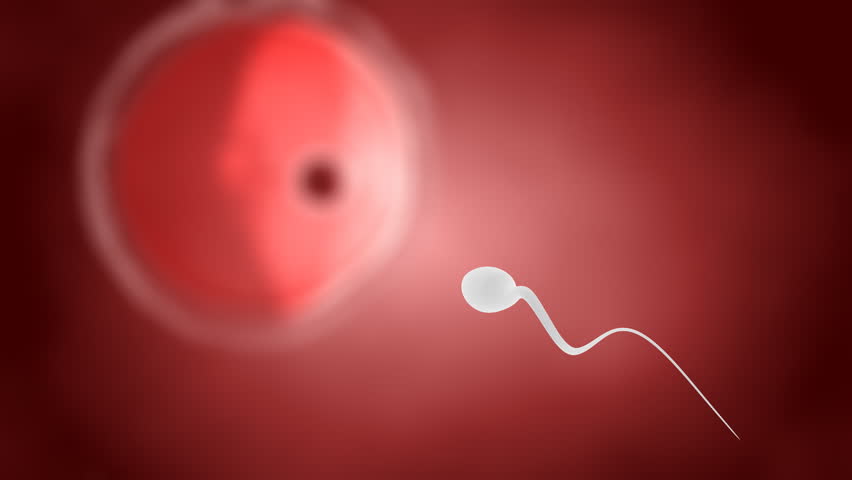 foot fetish porn video music is life sperm