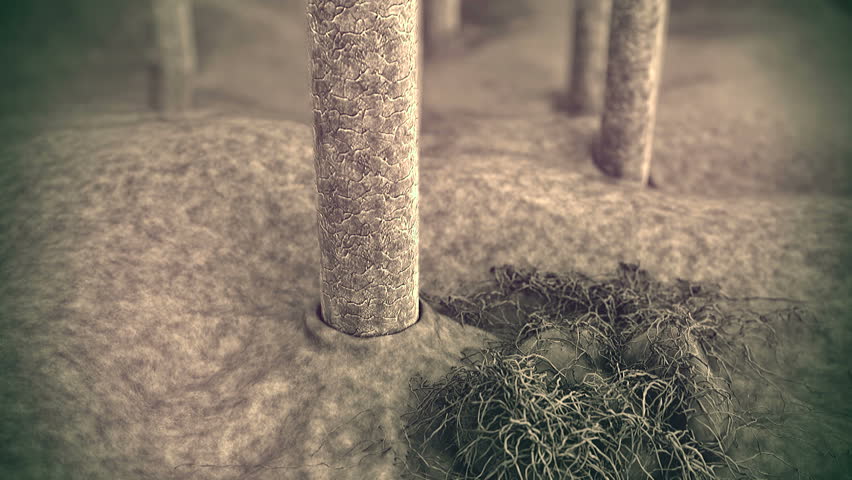 Hair, Dandruff, Skin Under Microscope, Image Of Skin With Hair, 3d