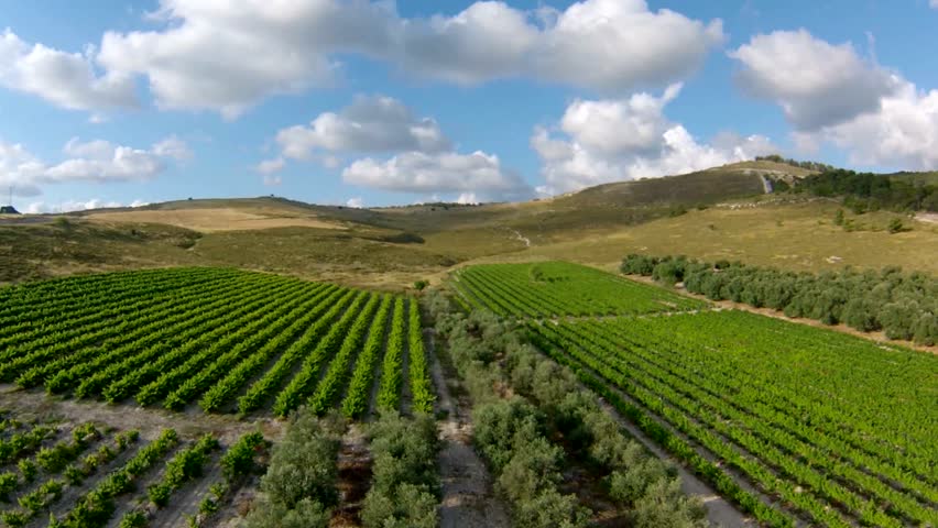 Header of Israel