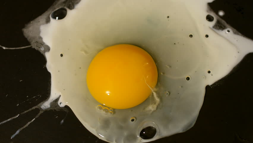 Header of albumen