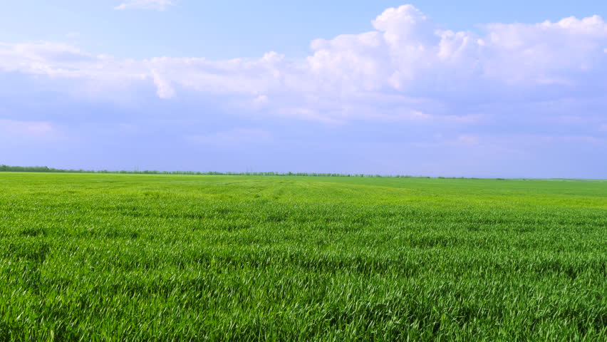 4K Panoramic View Of The Field. Stock Footage Video 6394094 - Shutterstock