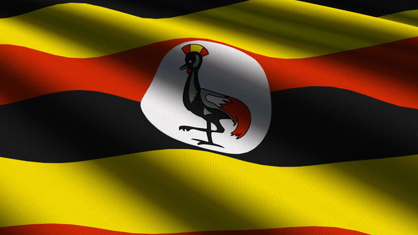 Uganda Flag Stock Footage Video - Shutterstock