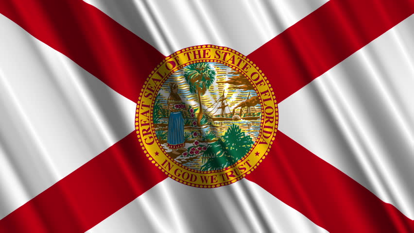 Waving Florida State Flag, Ready For Seamless Loop. Stock Footage Video ...