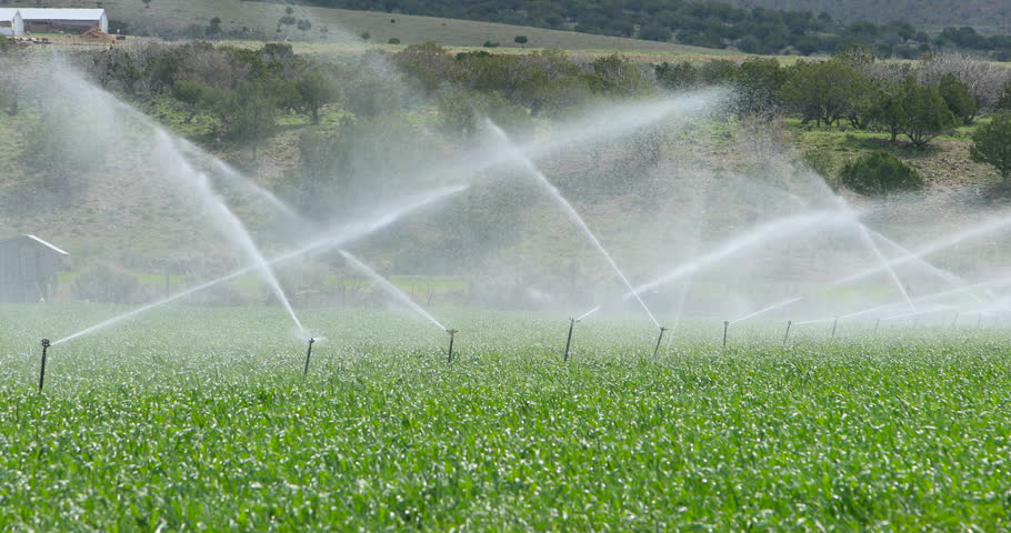 Irrigation Systems In A Green Vegetable Garden Stock Footage Video ...