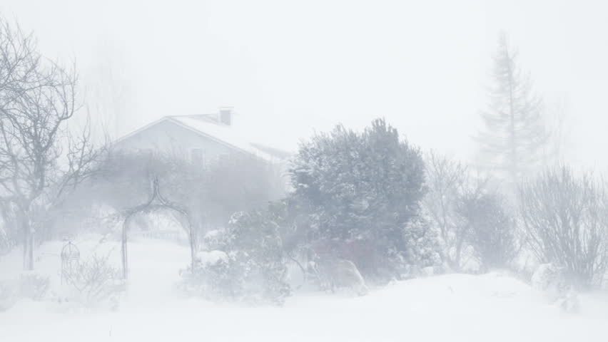 Snow Storm Snow Storm