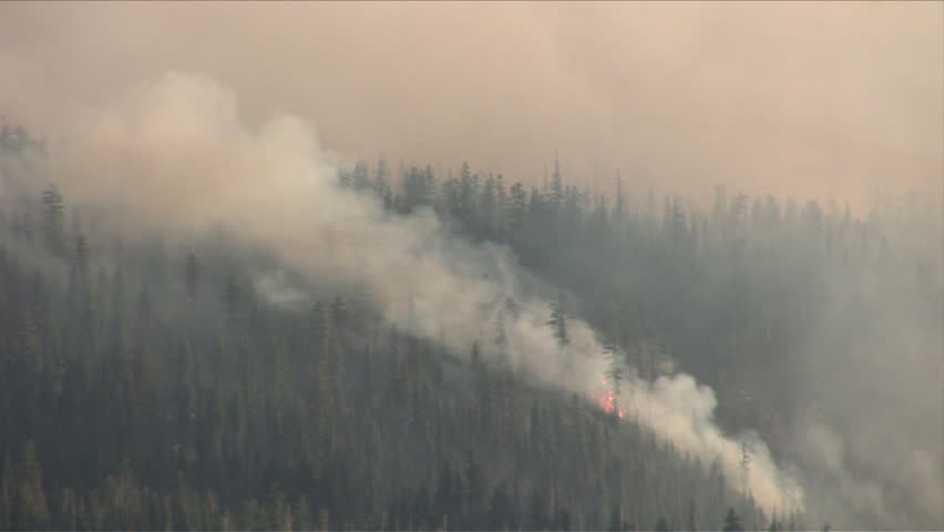 Forest Fire Spitting A Plume Of Smoke Out In Oregon Pacific Northwest ...