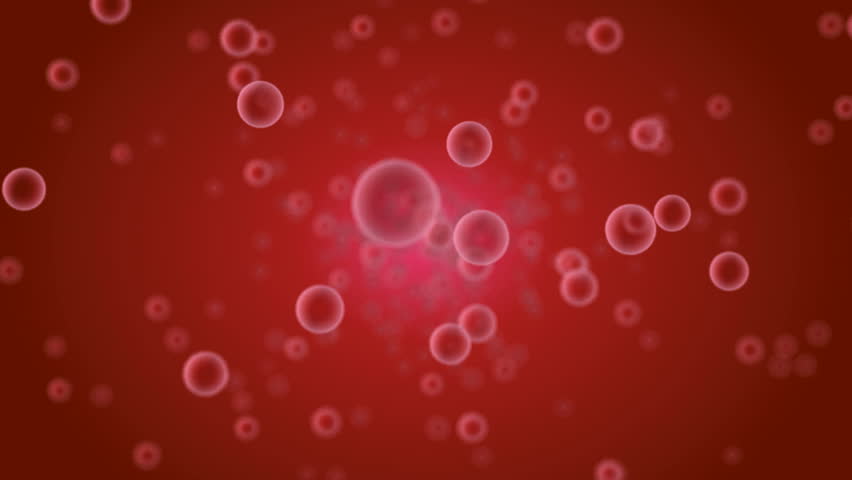 Blood Sample Channel (HD). Microscope 400x View Of Red Blood Cells ...