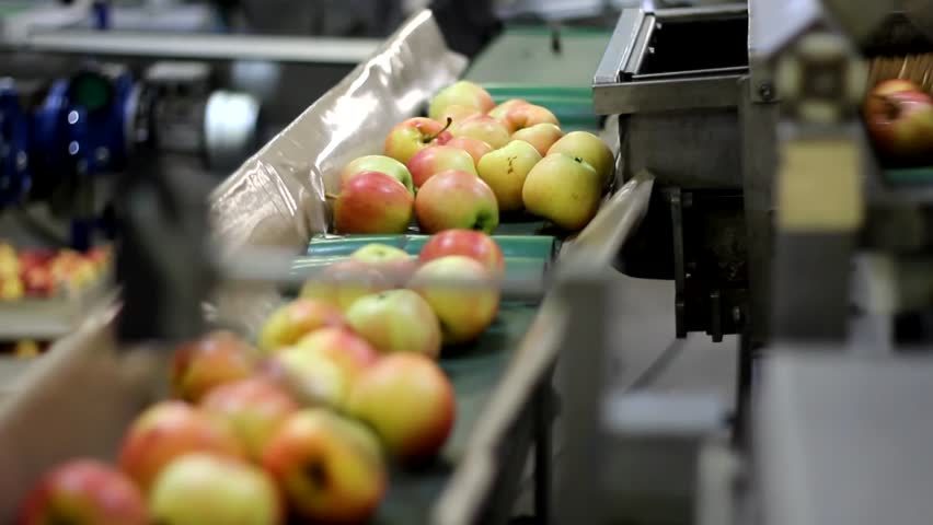 Apples On A Sorting Table In A Fruit Packing Warehouse Stock Footage ...