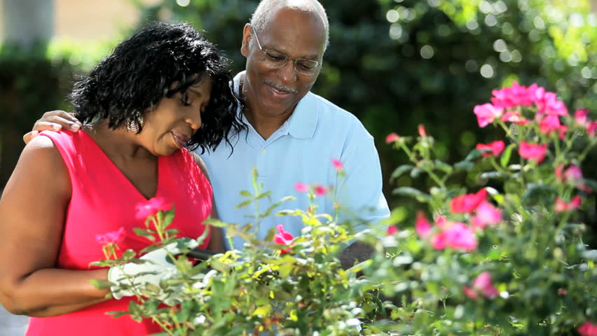 Senior Loving Ethnic Couple Outdoors Keeping Healthy Flowering Stock ...