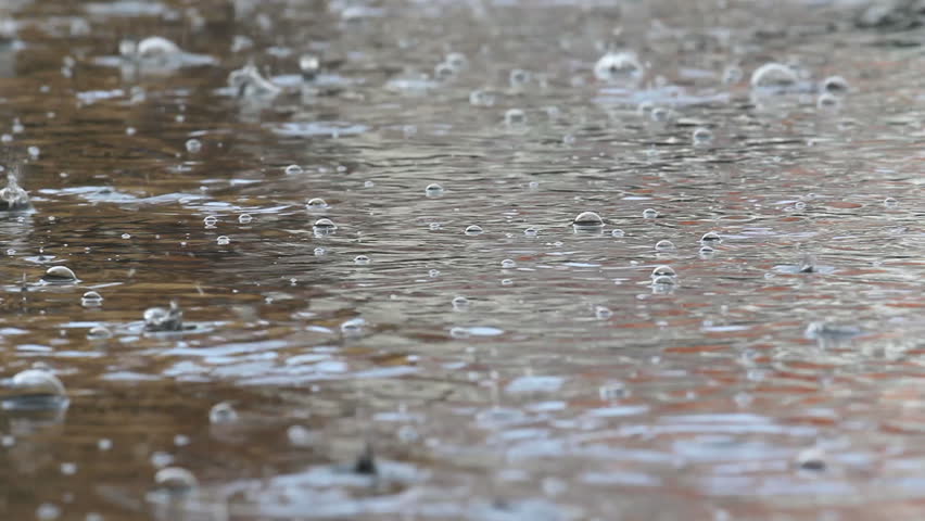 Quick Rain, Rain Drops In Puddle Stock Footage Video 4284527 - Shutterstock