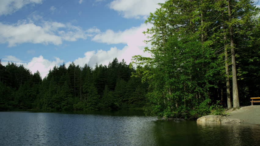 Lake Shore Forests Northern Hemisphere Coniferous Forests Are Called ...