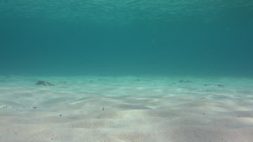 Video 1920x1080 - Man Under Water Over A Sandy Bottom Of The Sea Stock ...