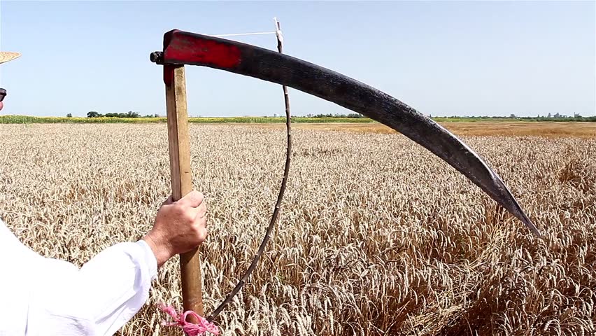 Grim Reaper Stock Footage Video - Shutterstock