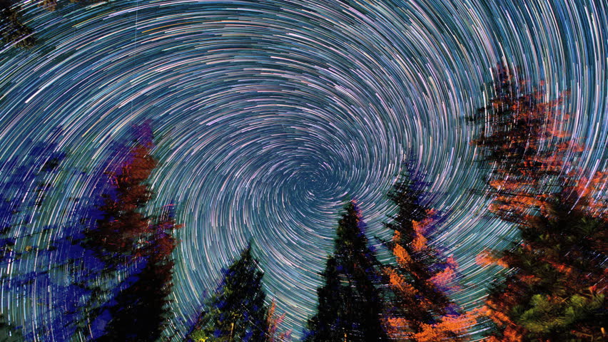 Starscape Timelapse Night Sky Over Pine Forest. Spinning Shot Rotates ...