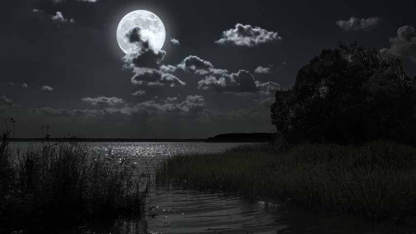 Full Moon Night Landscape With Forest Lake. Stock Footage Video 7203943 ...