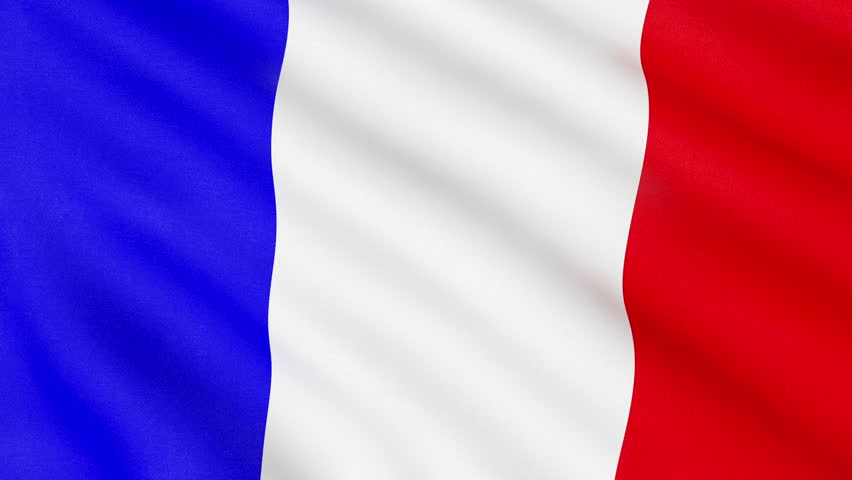 French National Flag Waving In The Wind - Background Animation For Home ...
