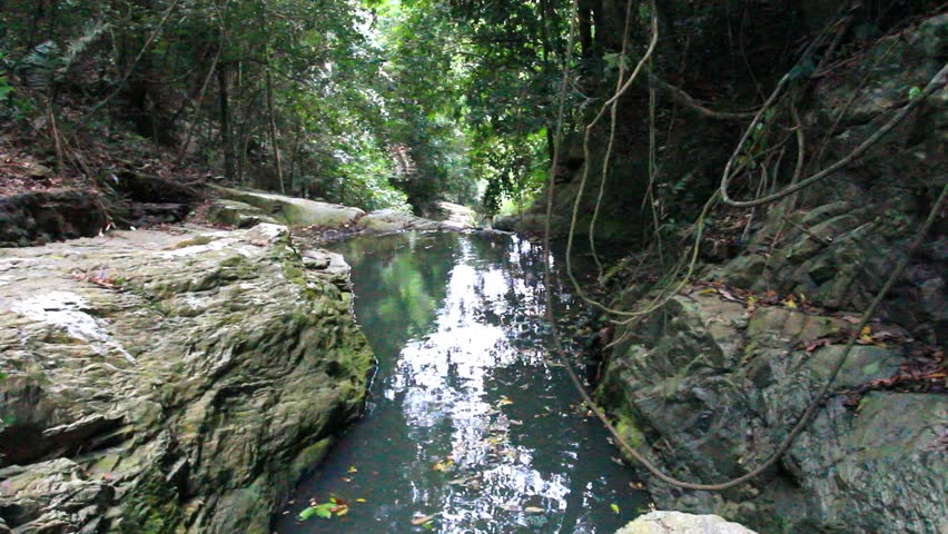 Tropical Rainforest Landscape With Beautiful Waterfall, Rocks And ...