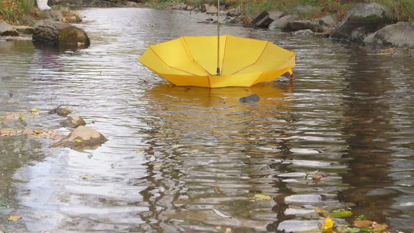 Lost Umbrella Floating On Water In Fall Stock Footage Video 7967422 ...