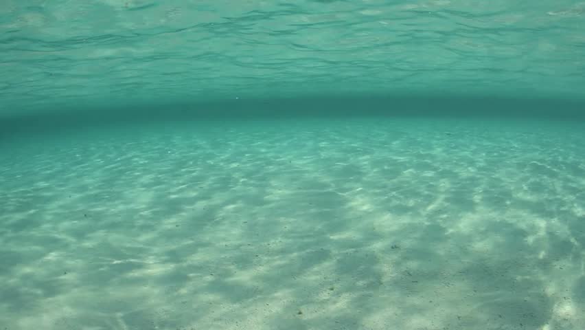 Wide Angle Scenic Shot In Clear Blue Water Of Ripples Sunlight On The ...