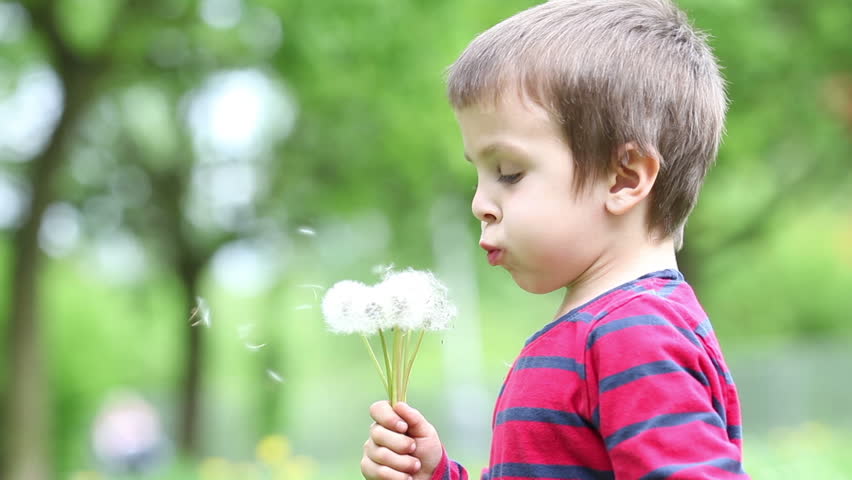 Beautiful Little Boy, Blowing Dandelions In The Park, Close Up Stock ...